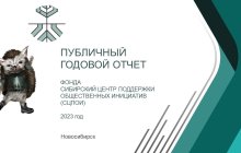 Публичный годовой отчет СЦПОИ 2023